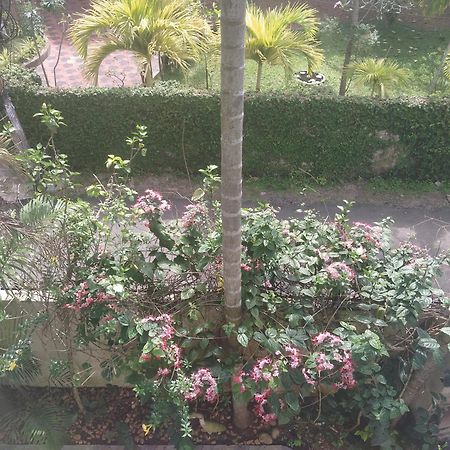 Paradise Inn Guest House Alappuzha 外观 照片