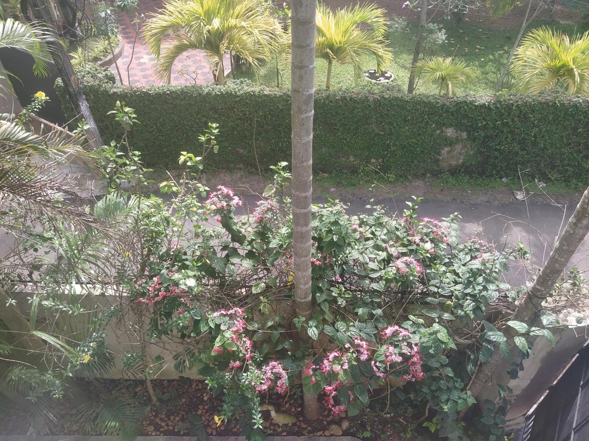 Paradise Inn Guest House Alappuzha 外观 照片
